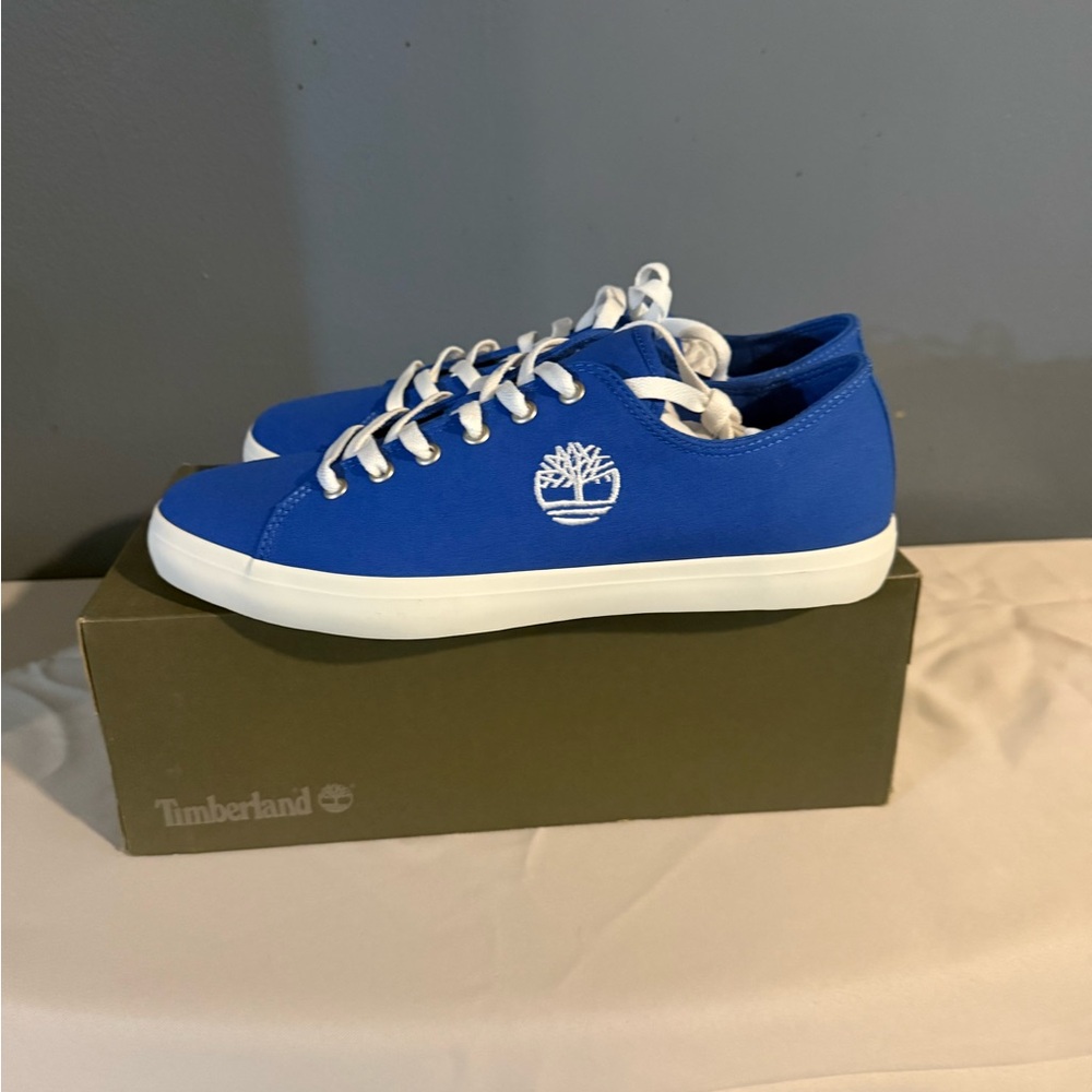 Timberland Royal Blue Canvas Shoes